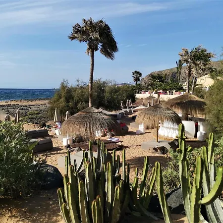 Celeste 250m De L'ocean Vue Panoramique *