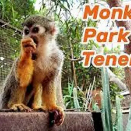 Celeste 250m De L'ocean Vue Panoramique Lägenhet Palm-mar