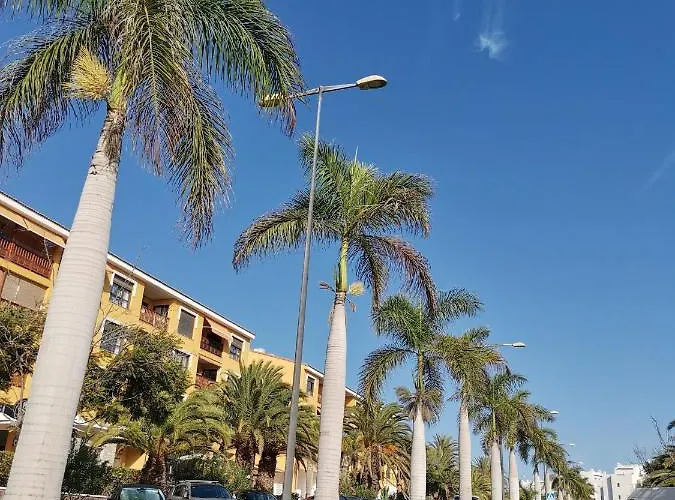 Διαμέρισμα Celeste 250m De L'ocean Vue Panoramique Palm-mar