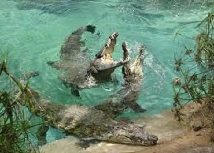 Διαμέρισμα Celeste 250m De L'ocean Vue Panoramique *