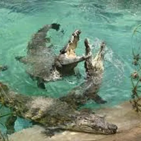 Διαμέρισμα Celeste 250m De L'ocean Vue Panoramique *