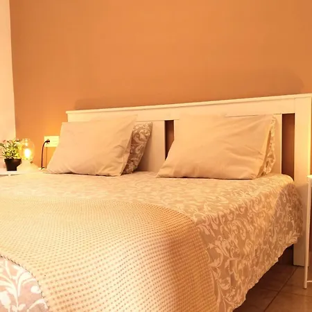 Celeste 250m De L'ocean Vue Panoramique 滨海帕尔姆