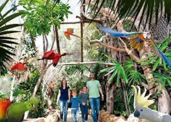 Celeste 250m De L'ocean Vue Panoramique بالم مار