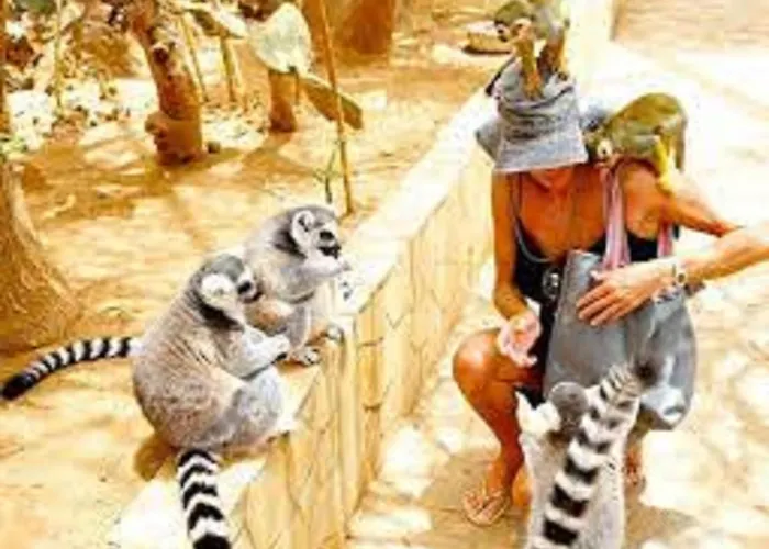 شقة Celeste 250m De L'ocean Vue Panoramique بالم مار